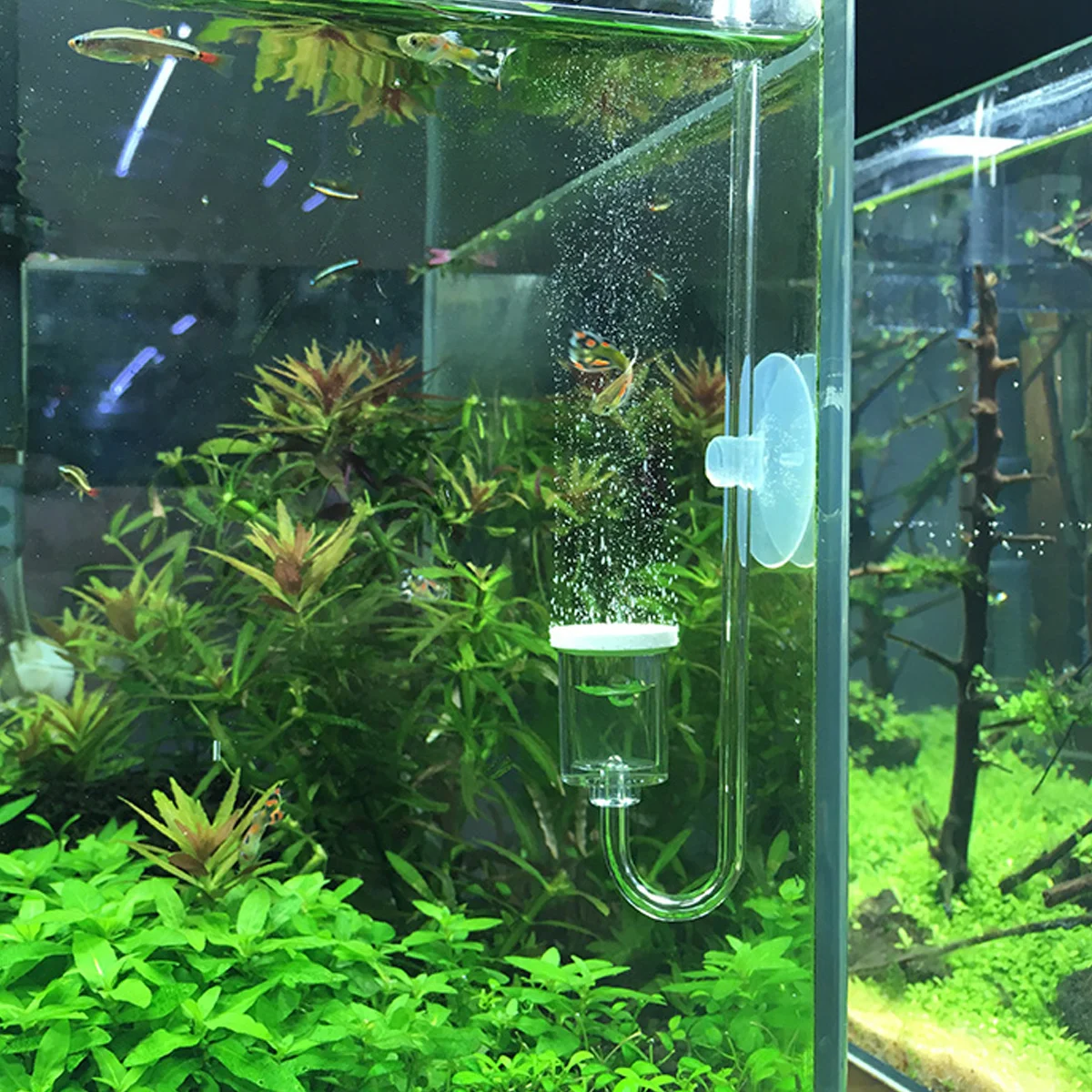 

Aquarium Co2 Diffuser Compact Design for Fine Bubble Distribution Efficient Co2 Dissolving Growth Enhancer Fish Tank Accessories