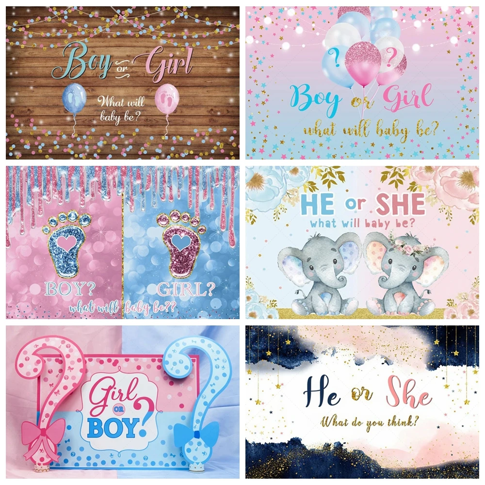 

Newborn Gender Reveal Party Background Boy or Girl Baby Shower Background His or Her Blue Pink Banner Photography Studio Decor