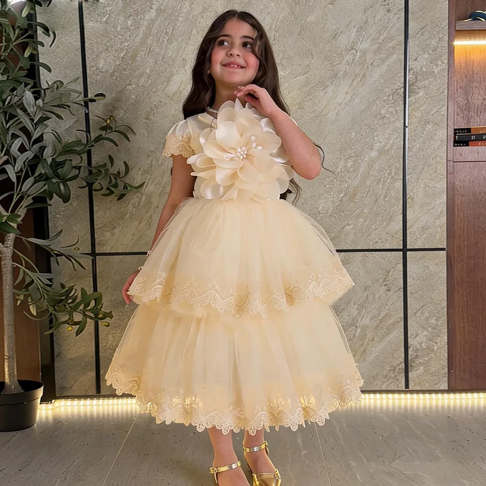 

Champagne Flower Girl dresses Applique Dress for girls Tiered Birthday Dress Cute Girl Princess Dress Big Flower Kids' dresses