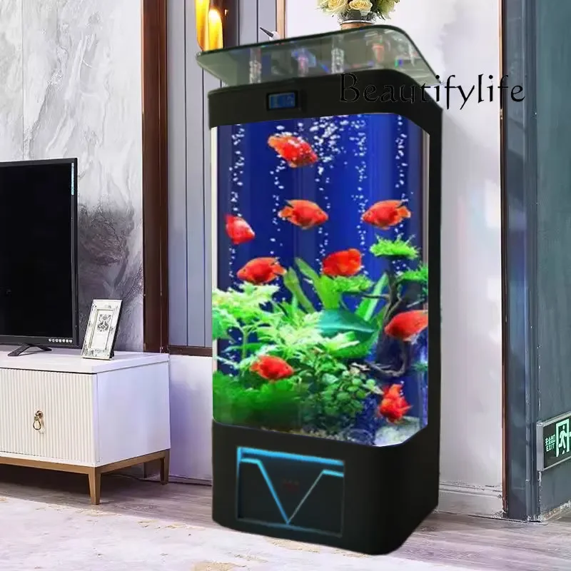 Living Room Vertical TV Cabinet next to Aquarium Ecological Glass Large Fish Tank Back Filter Change Water