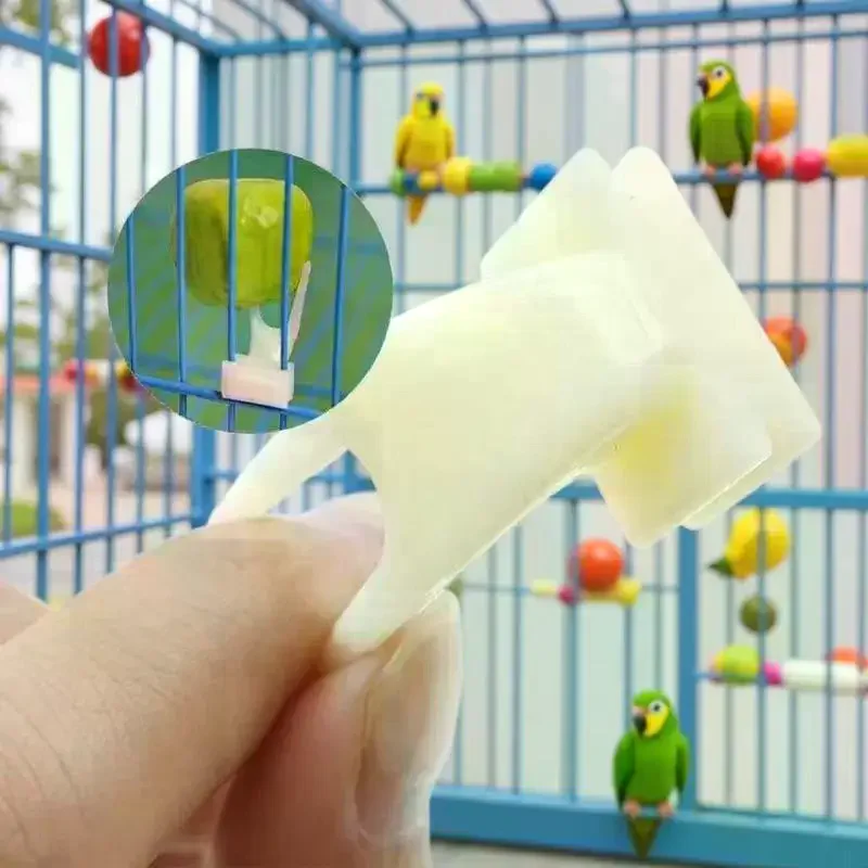 5 Pcs Bird Feeding Fruit Forks Pet Supplies Plastic Food Rack Bird Feeder