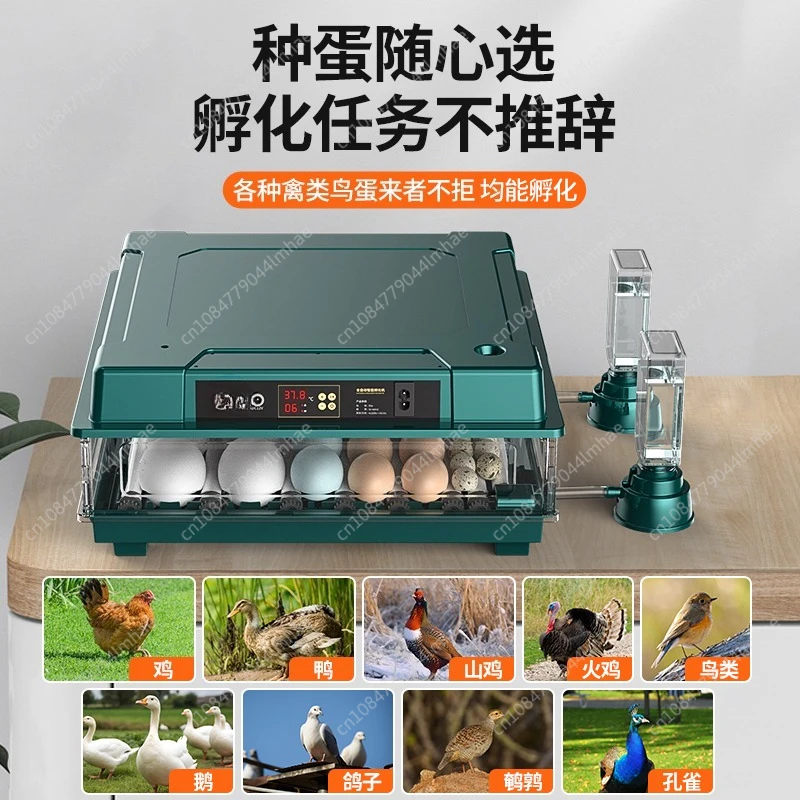 

Add water bottle and Hatching days display for Quail Egg 12-30 Eggs Incubators, Egg Incubator with Automatic Egg Turning