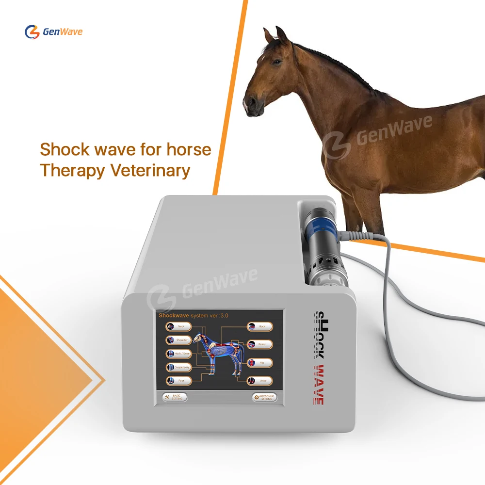 

EWST Eletromagnetic For VET Animal Fast Pain Relief Horse Machine