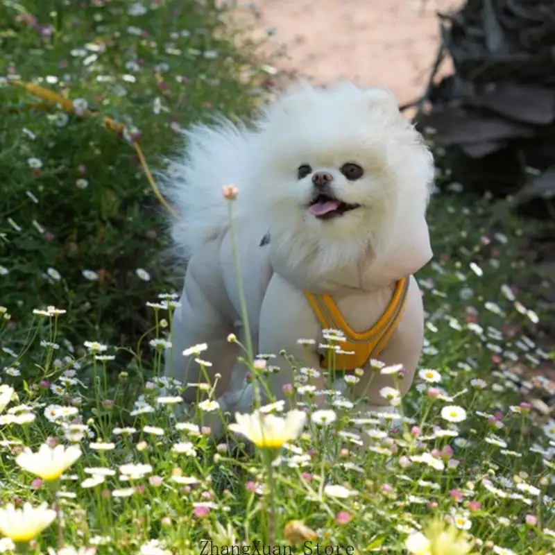 Atmungsaktive Outdoor-Bekleidung für Haustiere, Hundekleidung, Frühlings-Hundemesh für Hunde und Katzen 3XUF – Detail 3