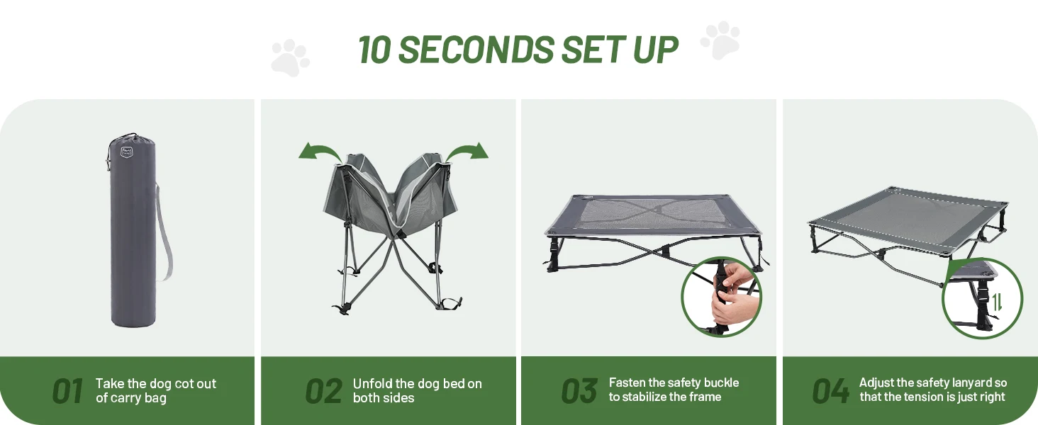 dog bed