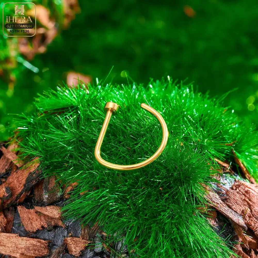 1/10PCS ASTM F136 Titanium Fake Nose Ring Hoop Non Piercing D Shape Nostril Lip Septum Earring Body Jewelry Kit