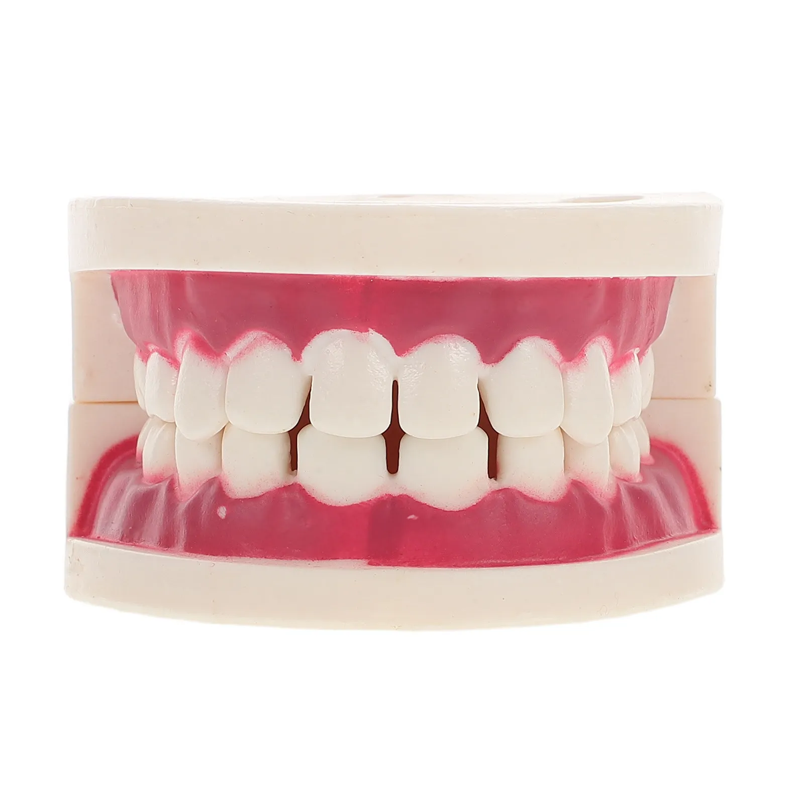 

Realistic Plastic Teeth Practice For Dental Clinical Orthodontic Training Portable Tooth Gap Simulation Tool Tooth Models For
