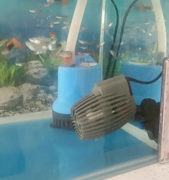 Fish Blower Wave Pu… - image