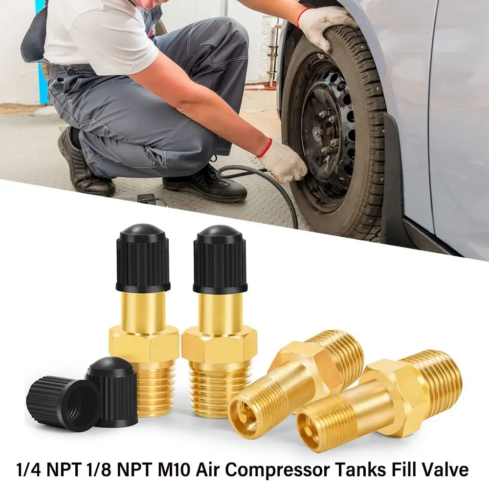 Professional 1/4 NPT 1/8 NPT M10 Air Compressor Tanks Fill Valve Anti-Corrosion Brass Schrader Valve Tire Copper Valve