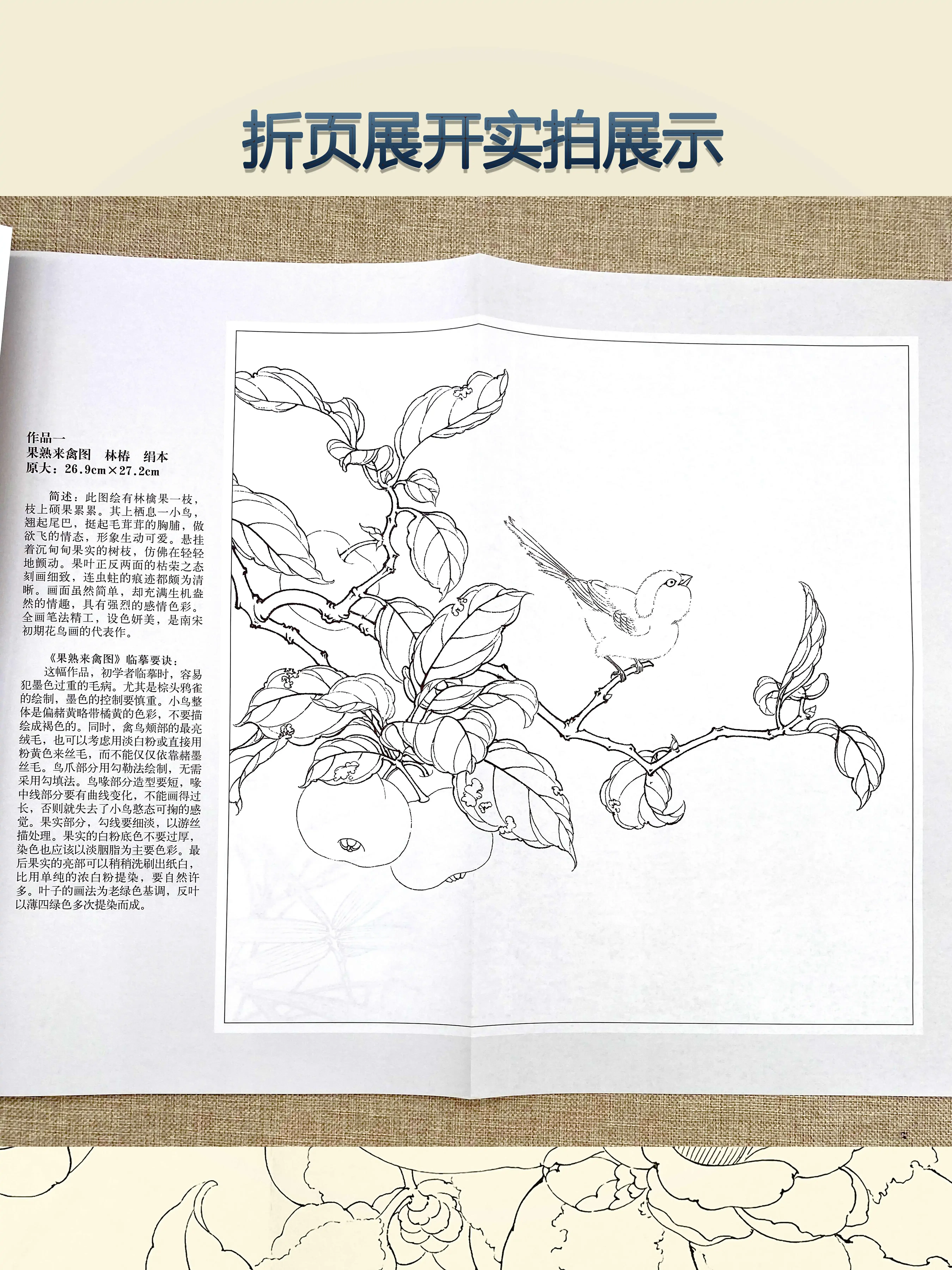 Song Dynasty Flower and Bird Painting Draft, Explicação Detalhada dos Passos da Técnica, Copiar Pintura, Desenho de Linha