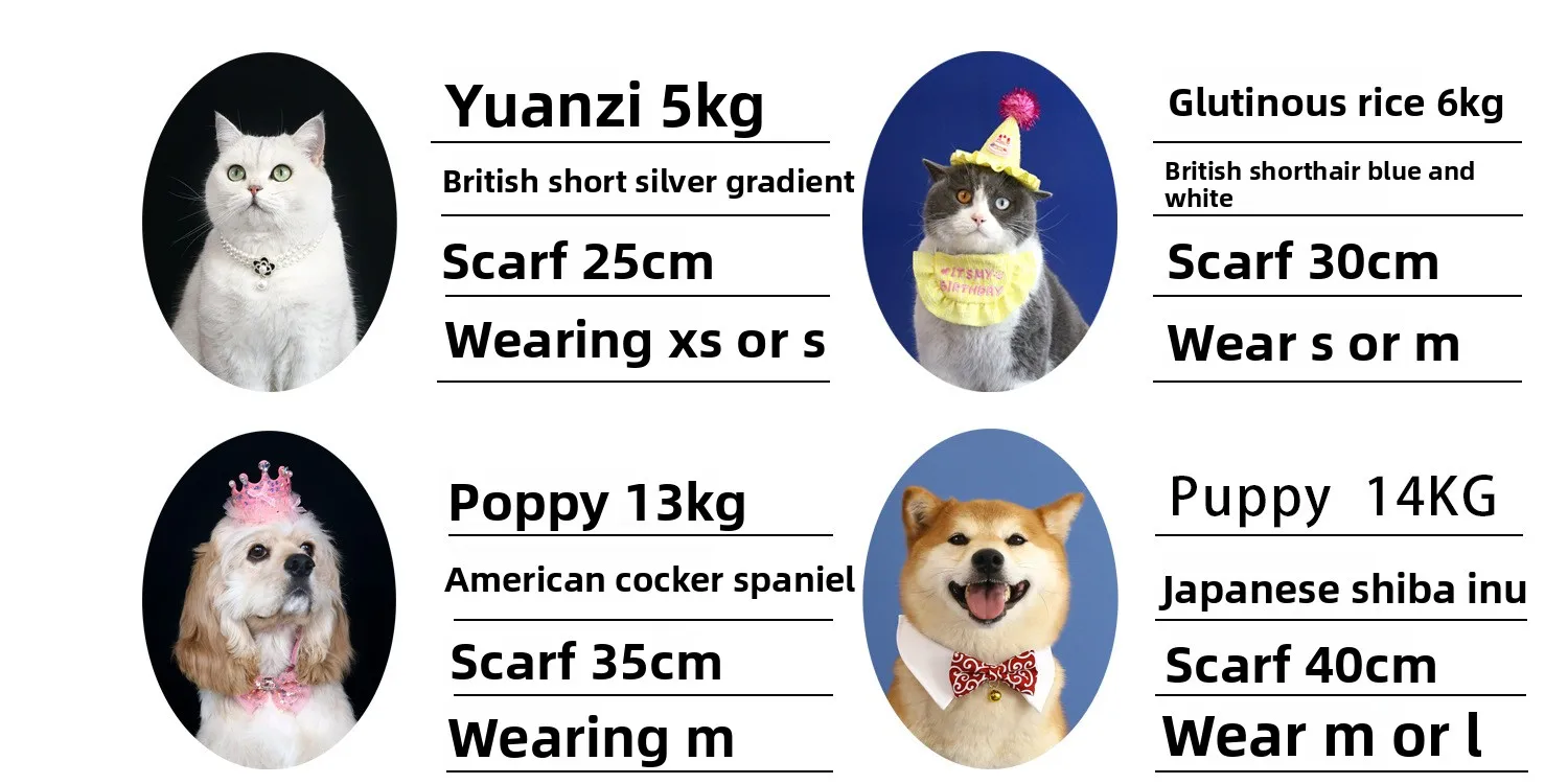 Haustier Katze Strickmütze Set Prinzessin duftende Baskenmütze Perle Schleife Blume Hund Hüte Paddel Set für Teddybär Welpen Katze Party Dress Up – Detail 1