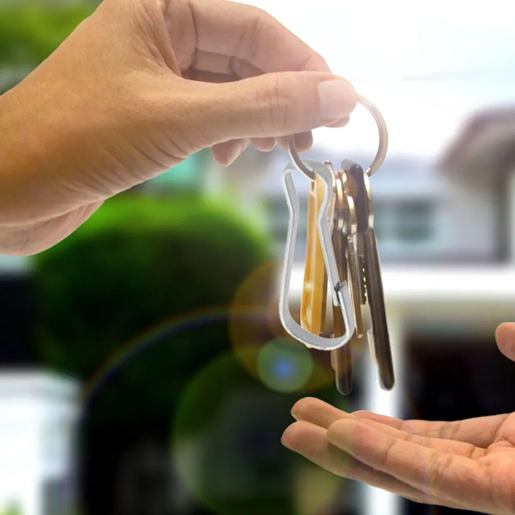 30 Pcs Metal Stainless Steel Pig Gallbladder Key Chain Clip Keychain Spring Snap