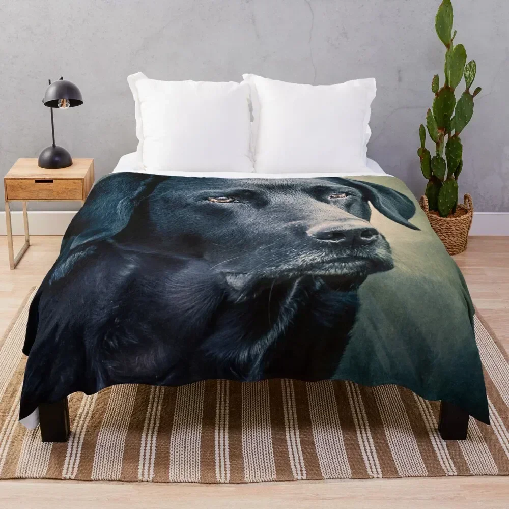 

Black Velvet - Labrador Throw Blanket Comforter Thins Blankets