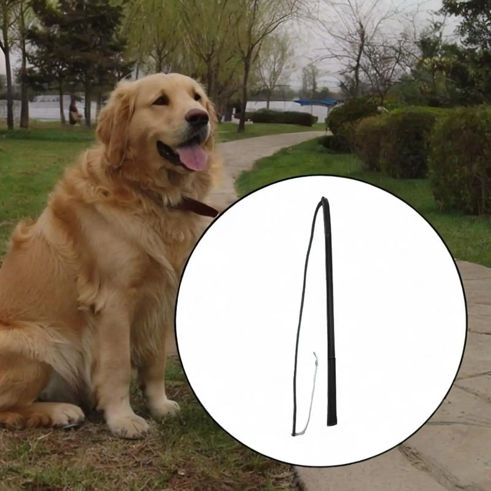 Dog Discipline Whips Rod Pet Behavior Training Tool Pet Obedience Correction Tool Dog Training Hit Stick for Agility Training