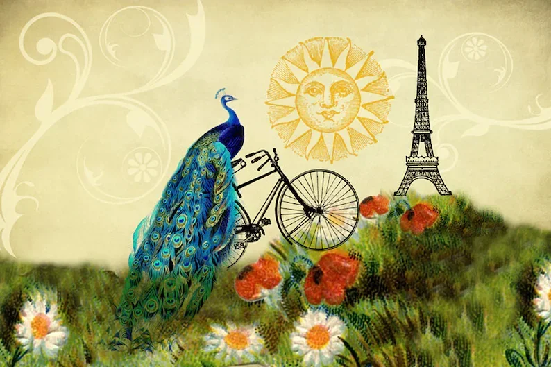 Peacock Shower Curtain Paris Whimsical Bohemian Bicycle Decor Eiffel Tower