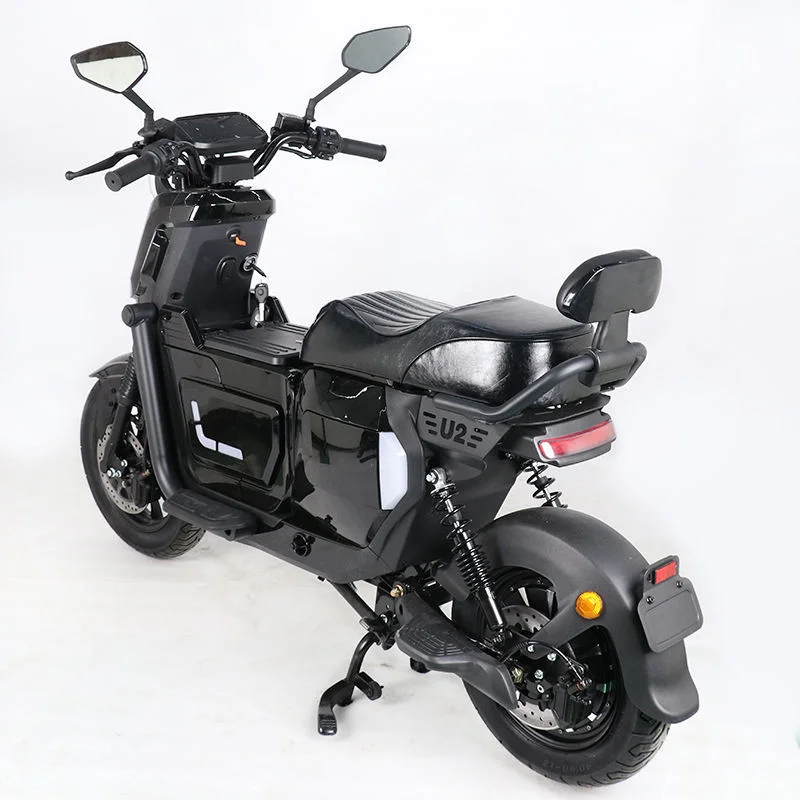 Chinese Factory Front and Rear Shock Absorption Electric Bicycle Electric Moped 1000W/800W Adult Electric Motorcycle