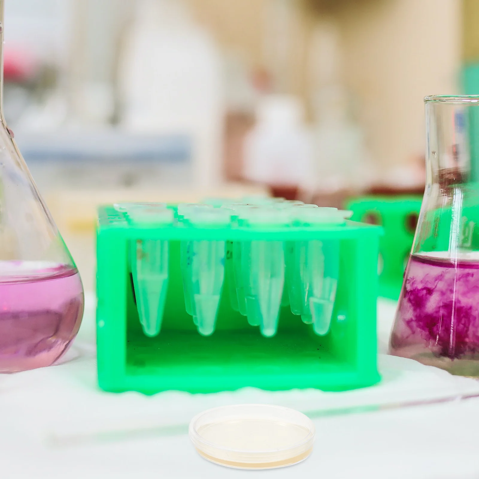 

10 Pcs Nutrient Agar Plate Petri Dishes with Tank Toy Plates for Laboratory Prepoured Experiment Supplies