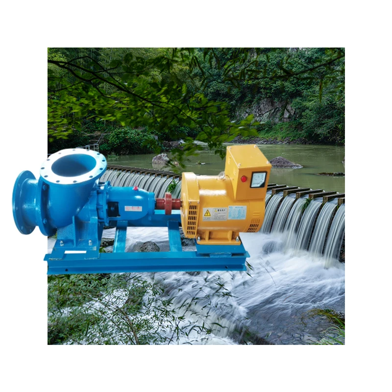 30kw Dual Injection Excitation Shock Type Home Small Water Current Generator Hydro Generator
