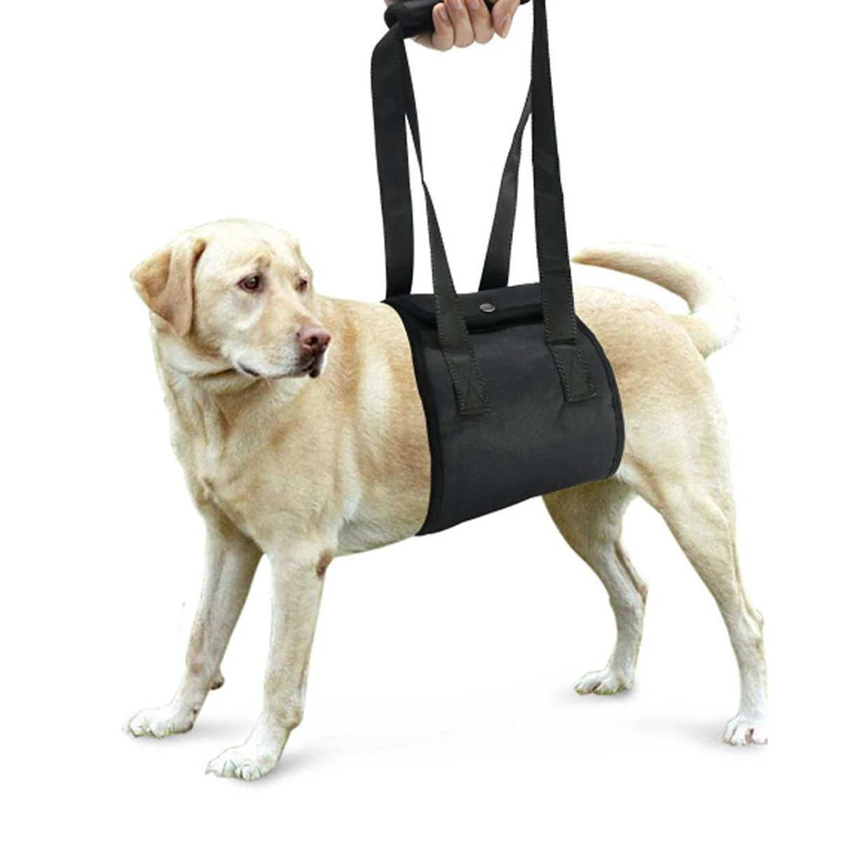 

Dog Support Rehabilitation Harness Adjustable Belt For Arthritis Hip Dysplasia Spinal Trauma Legs Joints Surgery Recovery