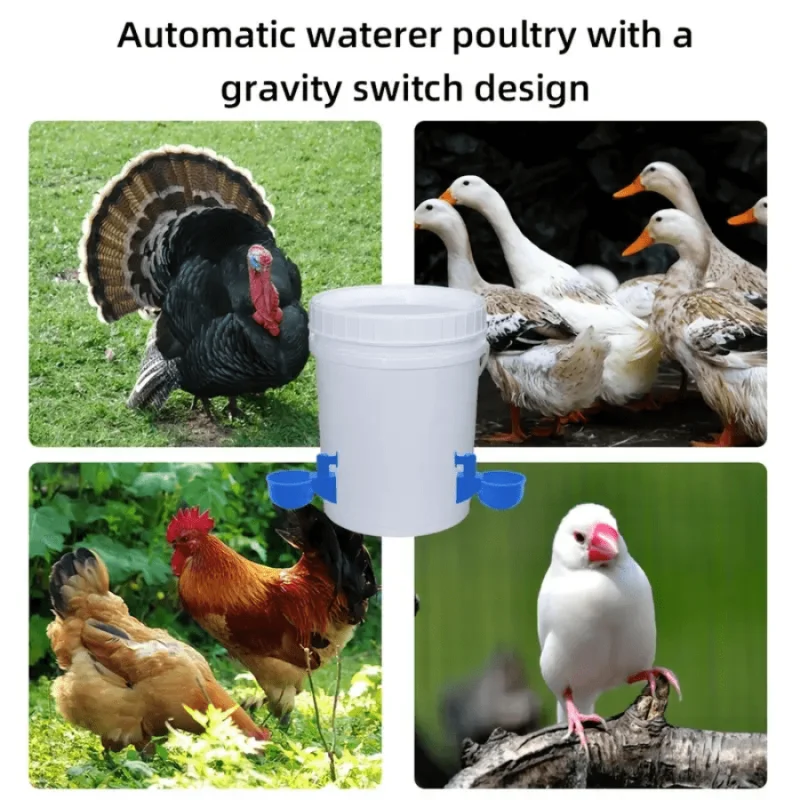 12pcs Automatic Feeder, Water Cups For Chicken, Pigeons, Automatic Poultry Drinker, Plastic Poultry Waterer Kit, Farm Supplies