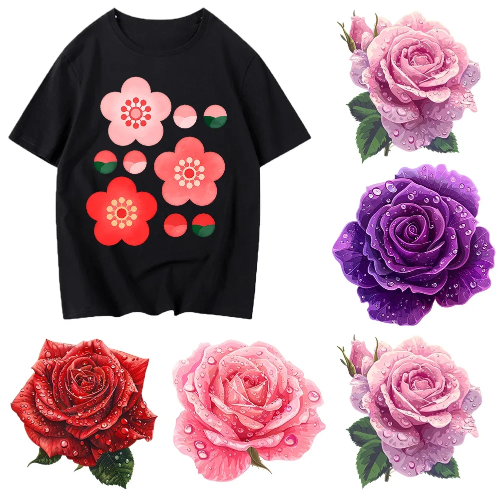 Flowers And Plants …