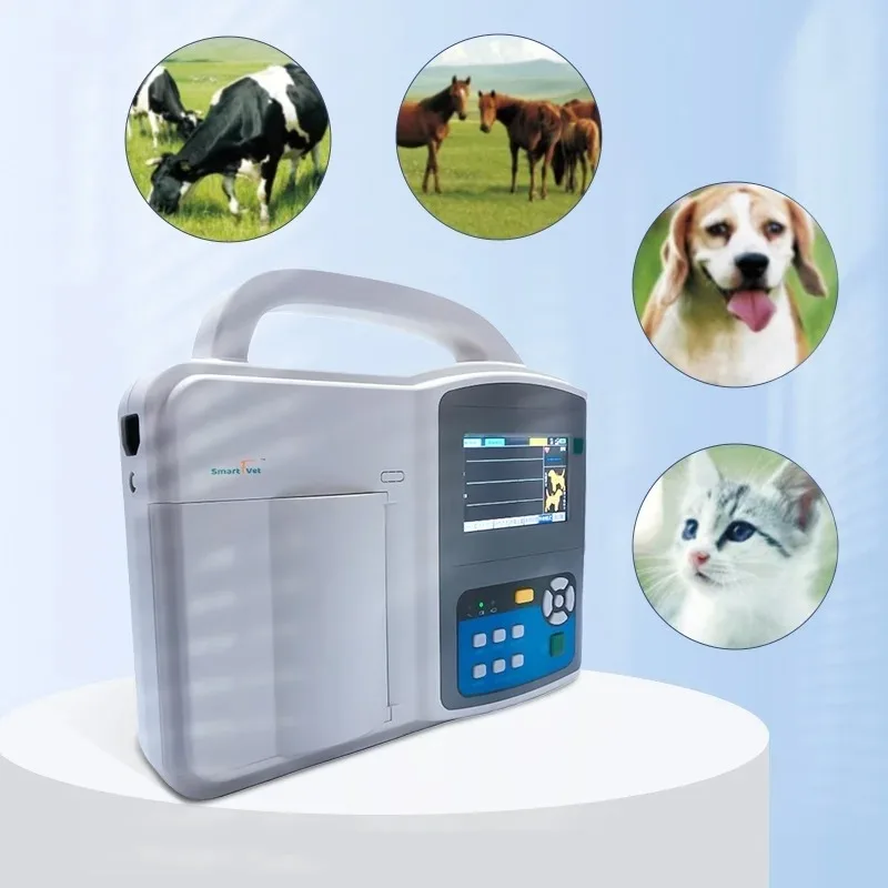 Smart F Vet Portable Electronic Digital Single Channel Electrocardiograph Machine Vet e cg Machine