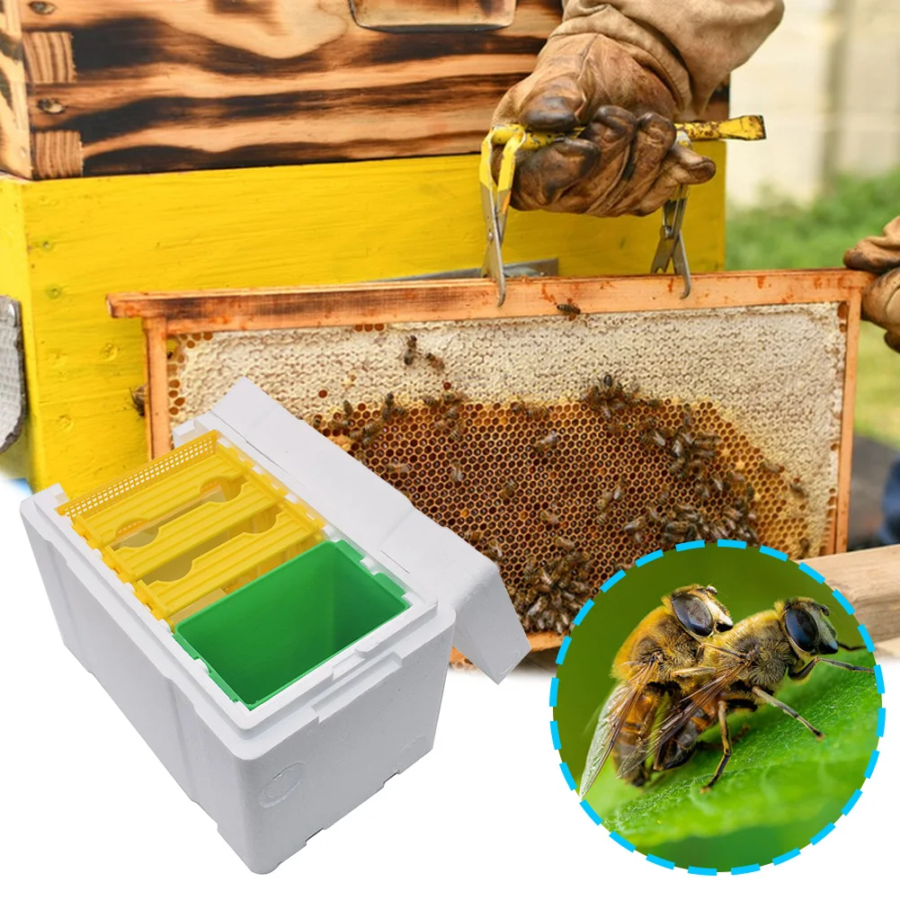 Pudło typu Queen Bee sharing beating beleve narzędzia pszczelarskie piana ule Nuc żniwa zapylanie BeesHive Box pszczelarzy dostawców