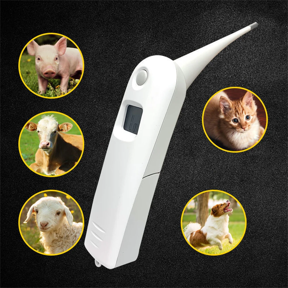 Professional Metal Probe Animal Anal Thermometer Horse Cow Pet Electronic Veterinary Medical Veterinary Equipment Tool Supplies