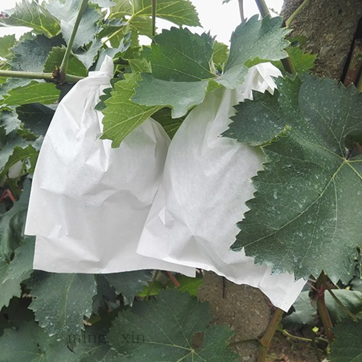 

100Pcs Seedling Grow Bags Biodegradable Non-Woven Plant Pouches for Garden Nursery Use 240Mm X 350Mm Fabric Pots with High