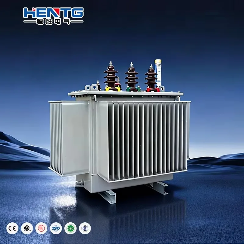 

Three Phase Oil Immersed MV&HV Transformer Vendor S13 160kVA 500kVA 1250kVA Power Supply EPR_France_Packing MV&HV Transformers