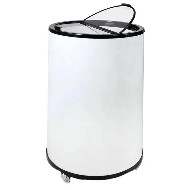 Commercial Mini Vertical Freezer Small Refrigerator Glass Cover Display Beverage Storage Cabinet Air Cooled 40L