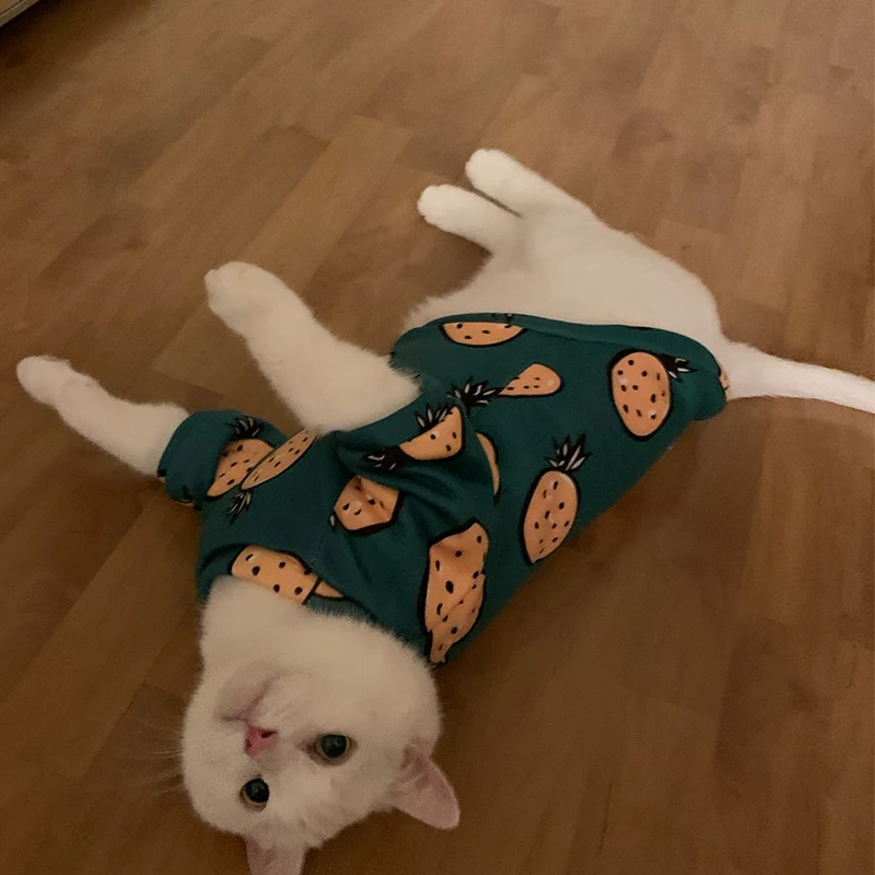 Cute Print Cat Clothes Suit Spring Autumn Warm Fleece Pet Cat Pullover for Cats Kedi Soft Kitten Sweater Sphynx Clothing Outfits