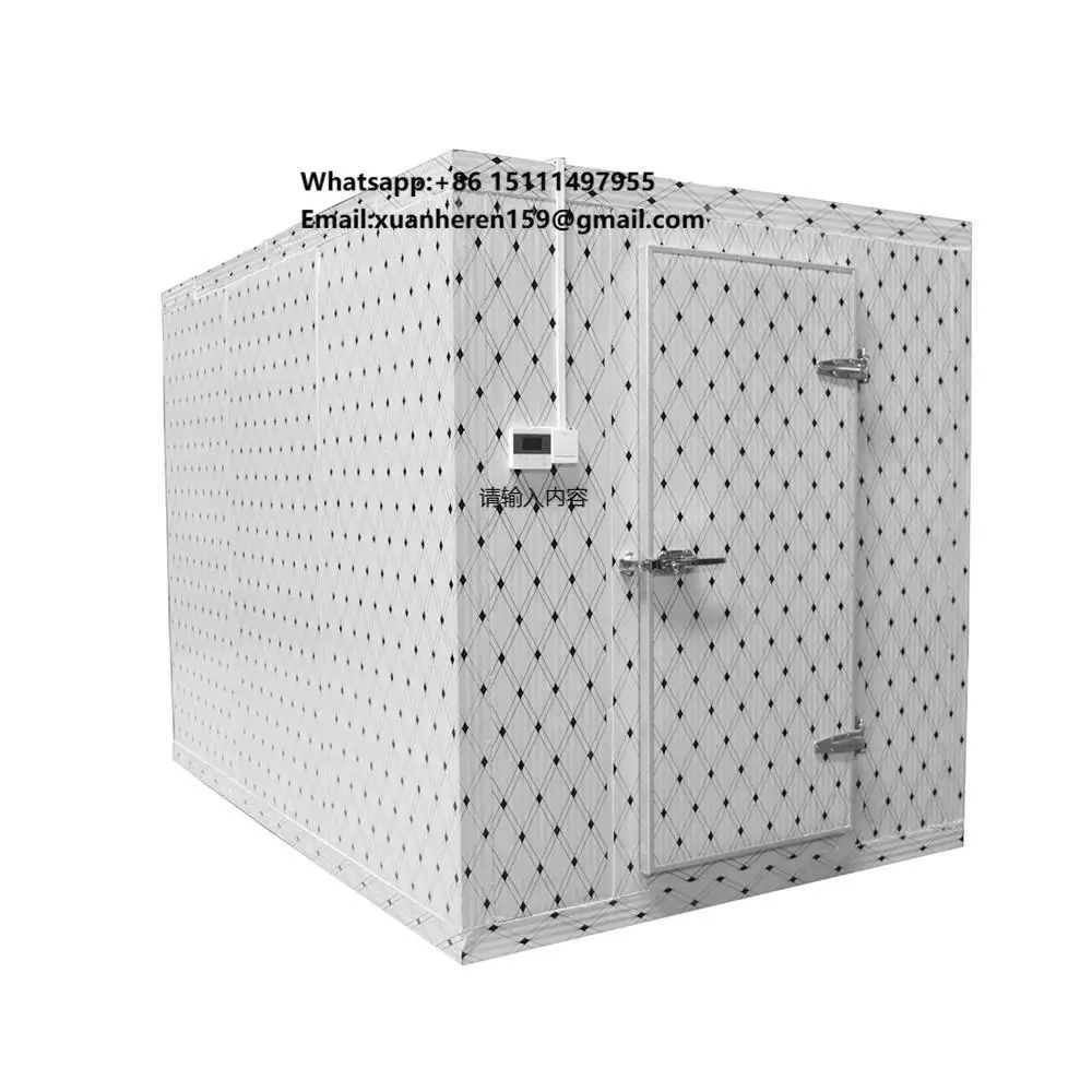 Professional Freezer Aircon for Cold Storage Industrial Deep Freezer for Frozen Food Cool Room Kit