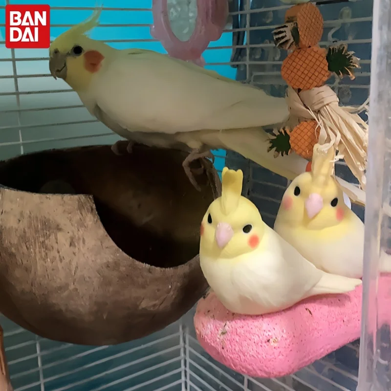 Bandai Flocked Bird Figurine Lovebird Cockatiel Parrotlet Kingfisher Collectible Flocked Desktop Decor For Bird Enthusiast