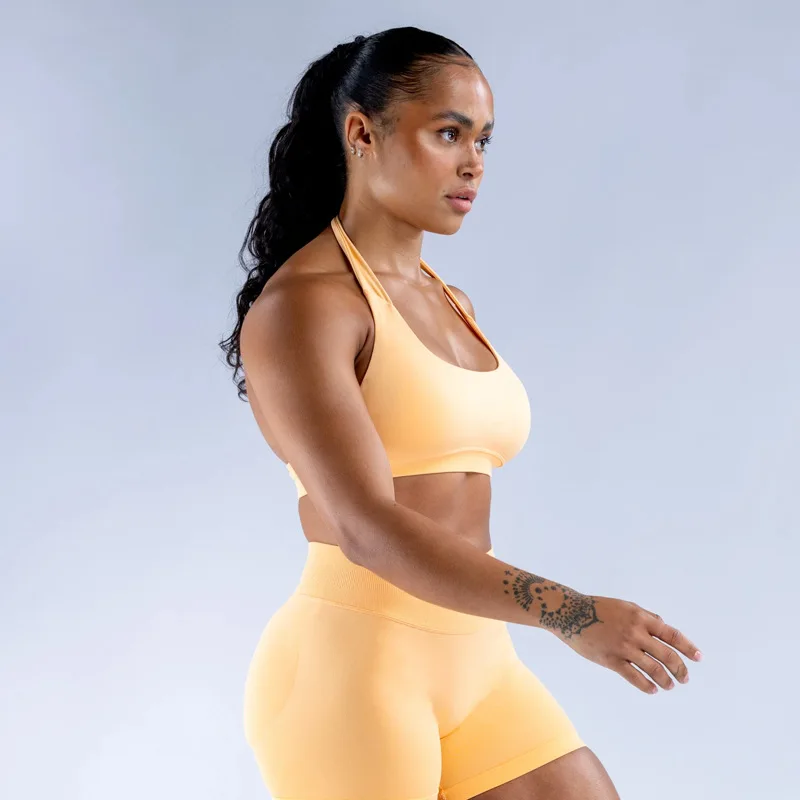 

Fashion Seamless Cross Back Halterneck Sports Bra Women Workout Crop Top Elastic Matte Nylon Yoga Shirt for Women Gym Wear