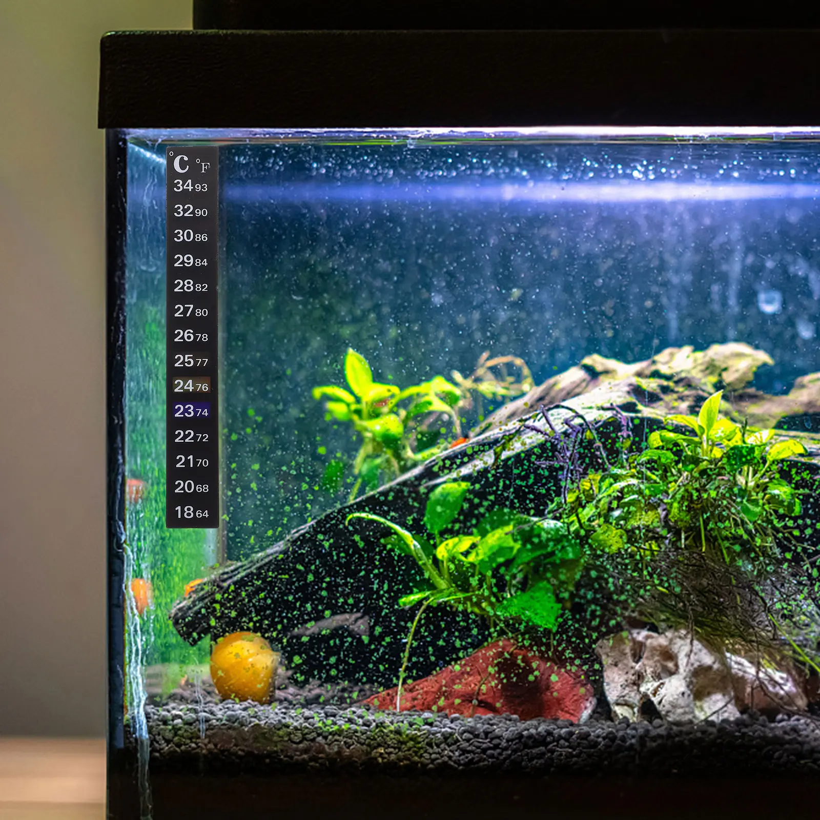

2 Pcs Thermometer Sticker Digital Aquarium for Fish Tank Temperature Strip Adhesive