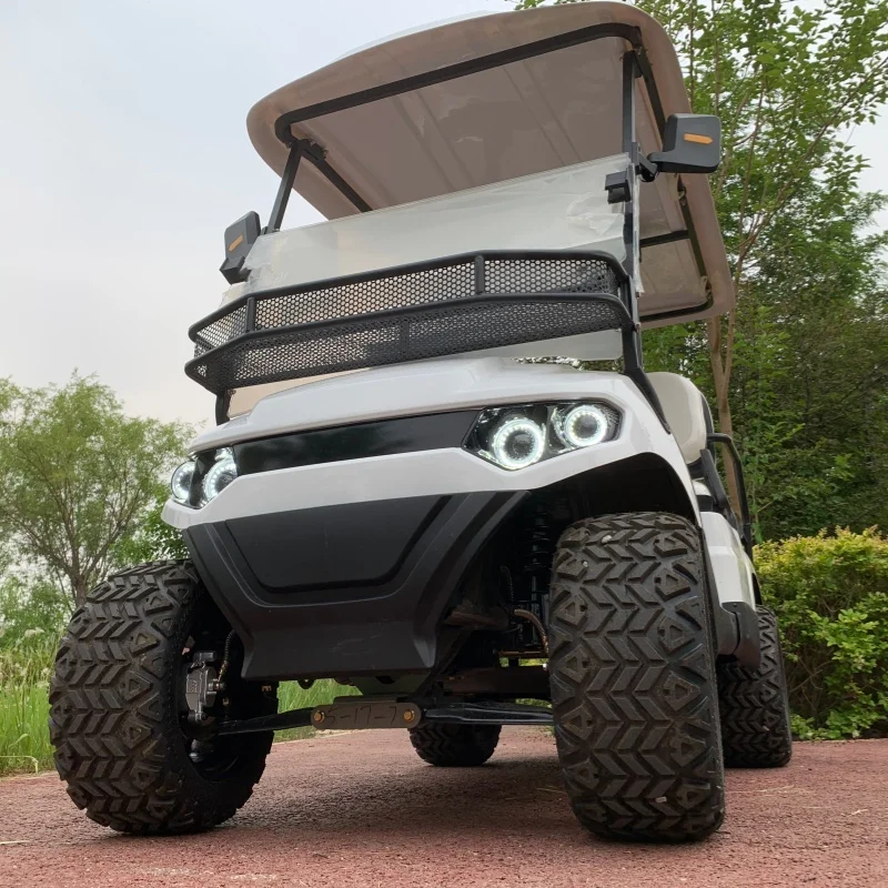 China Dylante Supplier 2 Seater Electric Golf Cart 4KW Off-Road Electric Farmer Cart 12-Inch Tires Sound Bar Folding Windshield