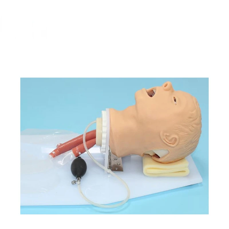 HC-S033A human Classic hospital medical teaching tracheal intubation training model