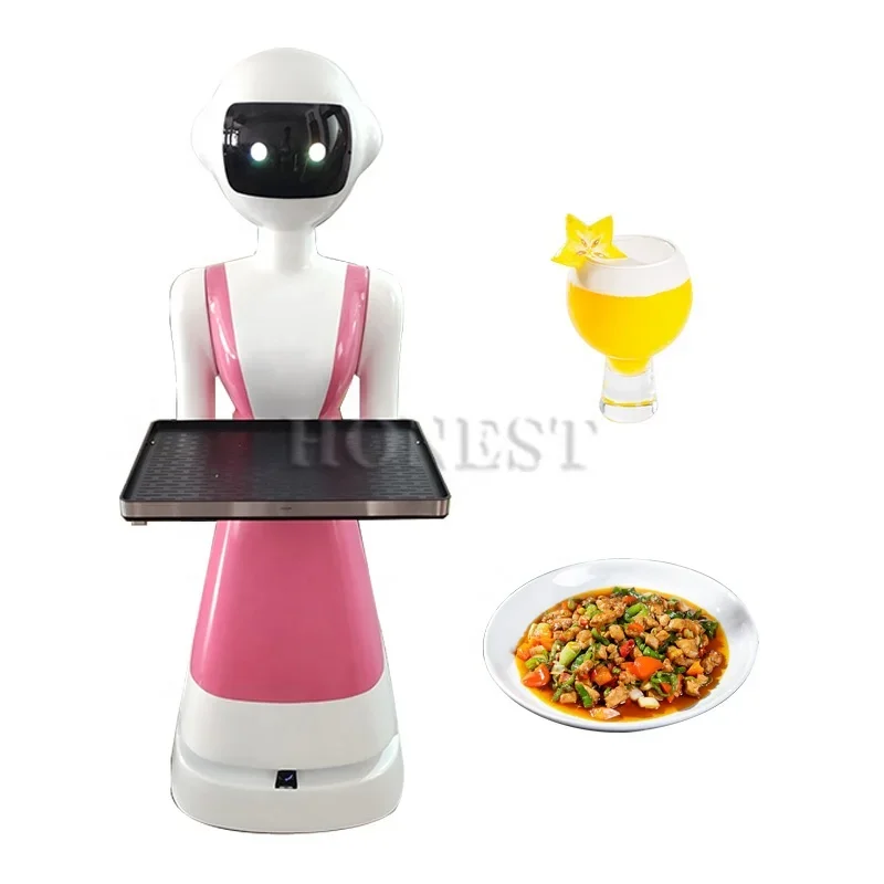 Fabrik-Direktverkauf Humanoider Roboter mit Tablett / Roboterkellner für Restaurant / Humanoider Roboter