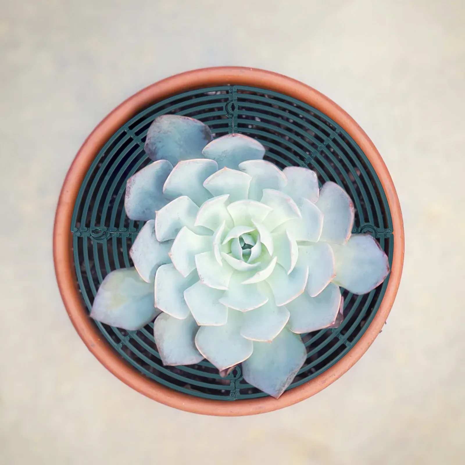 3Pcs Flower Pot Cover Plastic 30cm Plant Pot Grid Round Cuttable Flower Lids Covers Soil Protectors Black Dark Green White