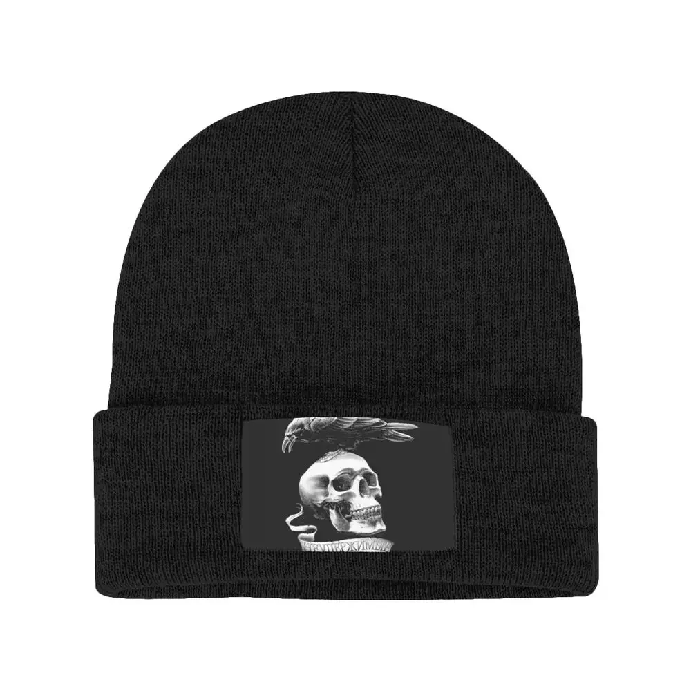 The Expendable Skull Crow Knitted Beanie Hat Beanies Cap Top Novelty Best Seller