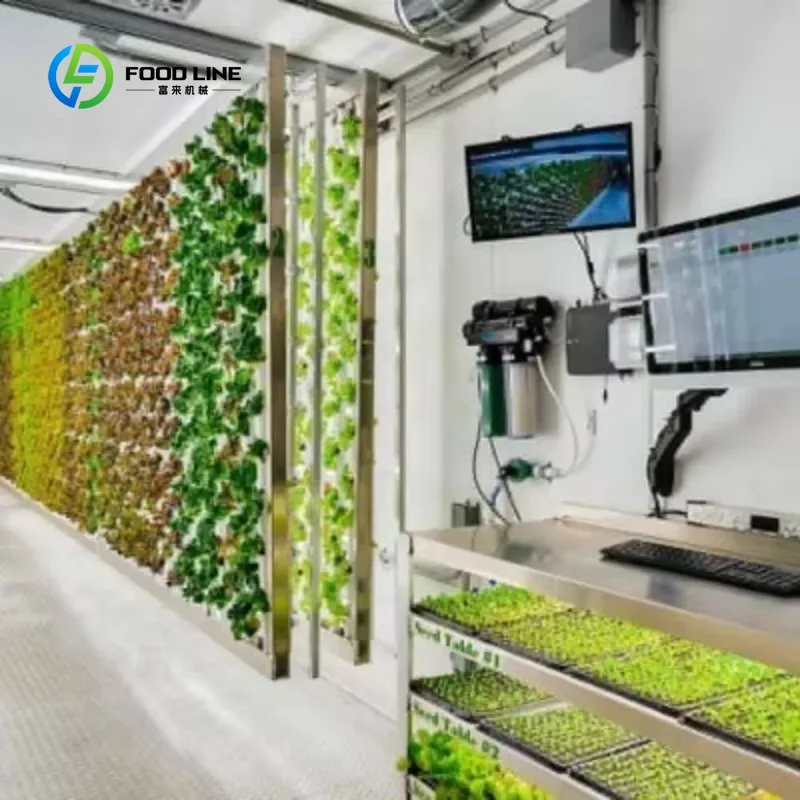 Customized Farm Growing Fully Equipped Mushroom Cultivation Container Hydroponics System Vertical Plant Factory Complete Set