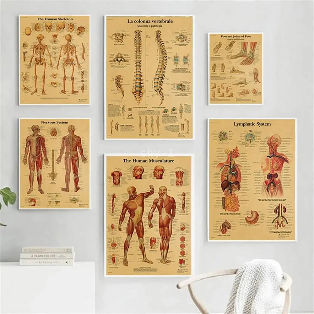 Póster educativo de Anatomía Humana, lienzo de columna vertebral y articulaciones, arte de pared para Educación Médica y decoración del hogar sin marco
