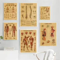 Human Anatomy Educational Poster Spine and Joints Canvas Wall Art for Medical Education and Home Decor Unframed