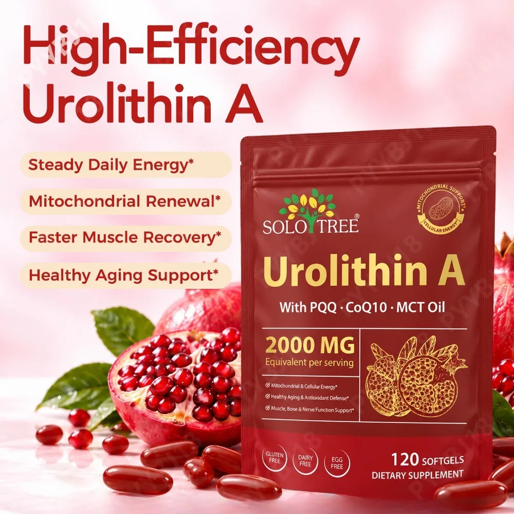 Urolithin A Softgels Support Cellular Energy Metabolism Muscle Recovery Cognitive Function - PQQ CoQ10 Trans-Resveratrol 120Ct