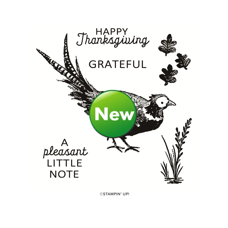 Latest Thanksgiving 2022 Catalog Cutting Dies Clear Stamp Scrapbooking For Paper Making Birds Grateful Frame Card