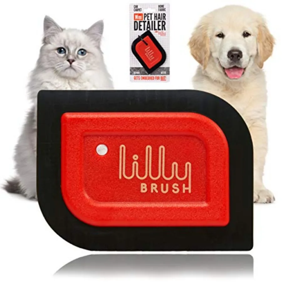 

Mini Pet Hair Detailer Reusable Fur Remover for Car Interior, Carpet, Couch and Furniture