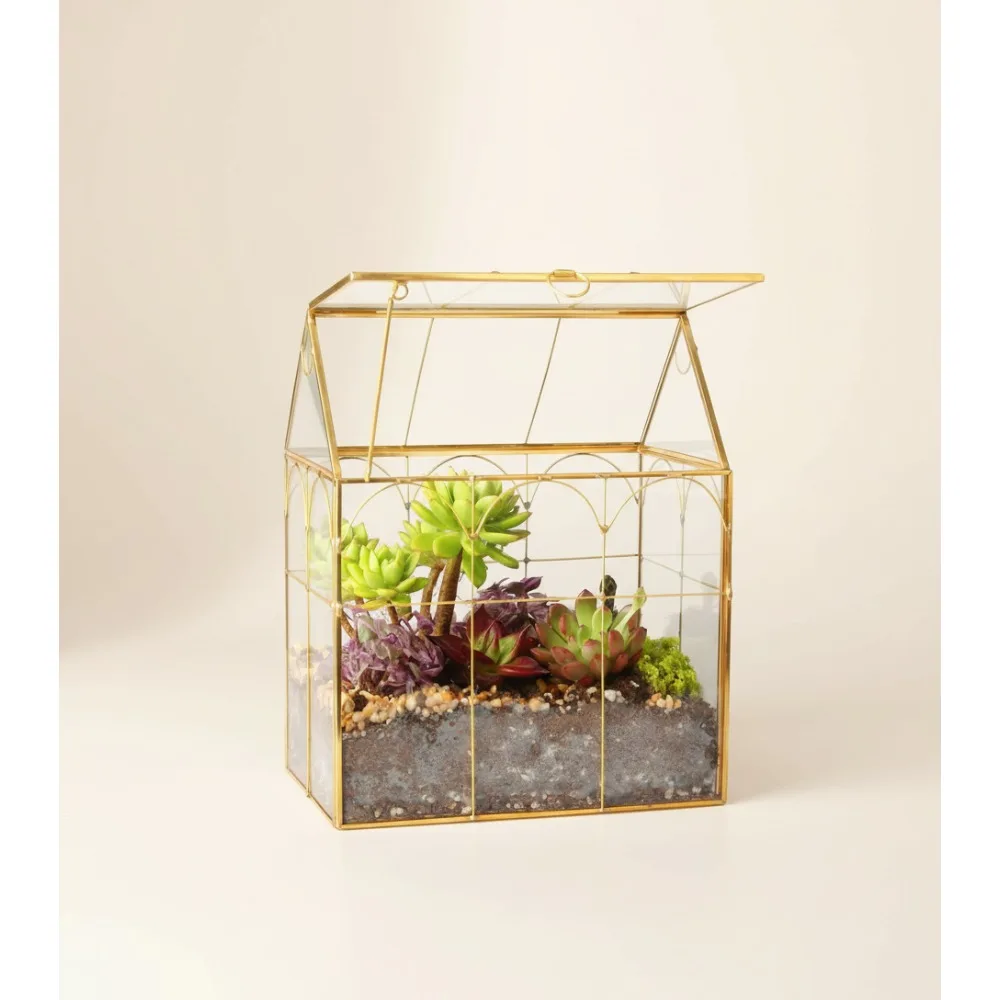 

Элегантный стеклянный геометрический растительный террариум для суккулентов, воздушные растения, украшение для дома, офиса, сада, стиль золотого дома