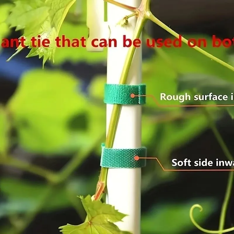 1/3/5 حديقة المنزل خيوط العلاقات النباتية النايلون النبات ضمادة لوازم حديقة هوك حلقة الخيزران قصب التفاف دعم قابلة لإعادة الاستخدام النبات Accessoy
