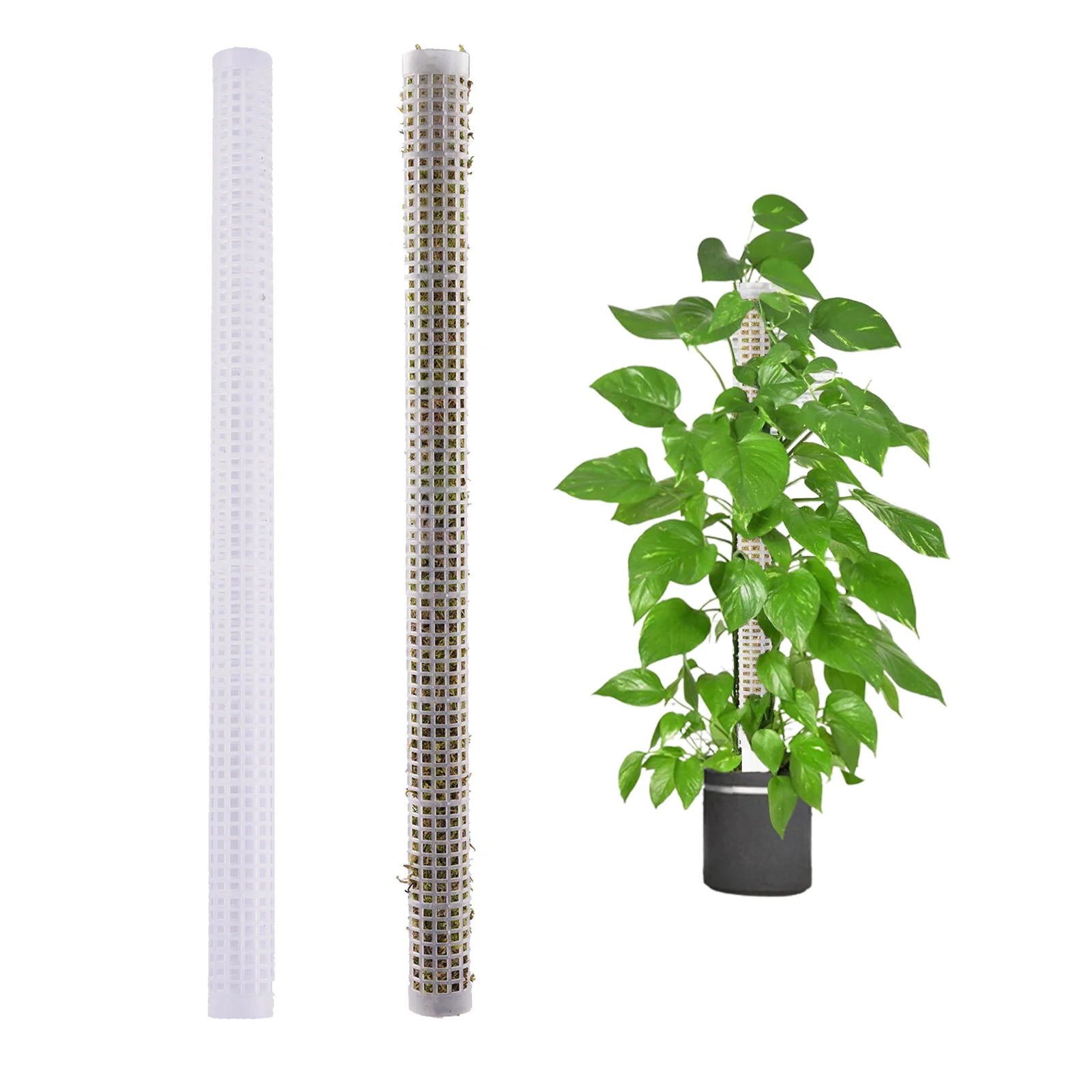 2pcs Moss Pole Plant Support Sphagnum Moss Stick Column Climbing Stand Indoor And Outdoor Garden Plant Supports Tools